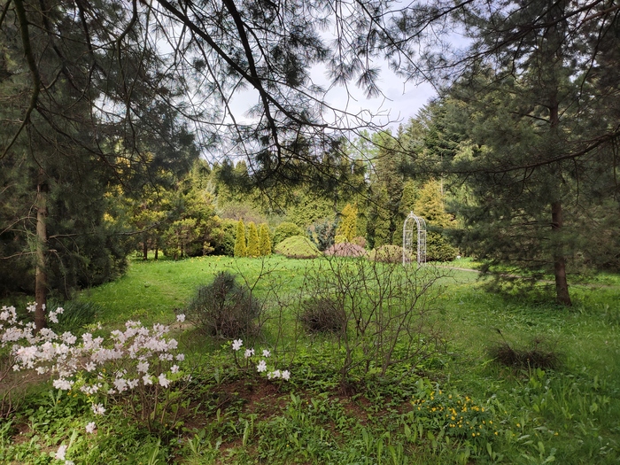 Калининград 2022 Путешествие по России, Туризм, Фотография, Отпуск, Калининград, Длиннопост