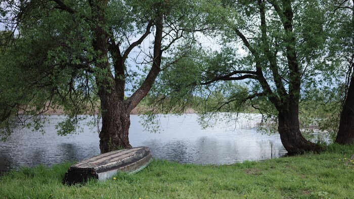 � ���� ����� ���� �� ������