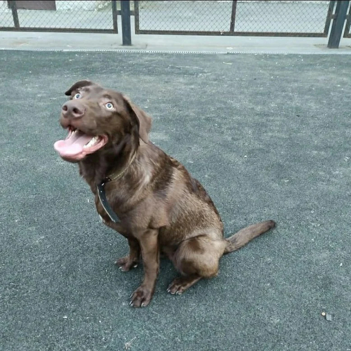 ����� ����� ��� ������ ���������, � ������� �� ���������� � ������ ������� �� ����. ��� � �� ������, � ������ ����, �����-���������, ������������� �������, ��� ��������, ���� ������, �����, ������������ �����, ����������