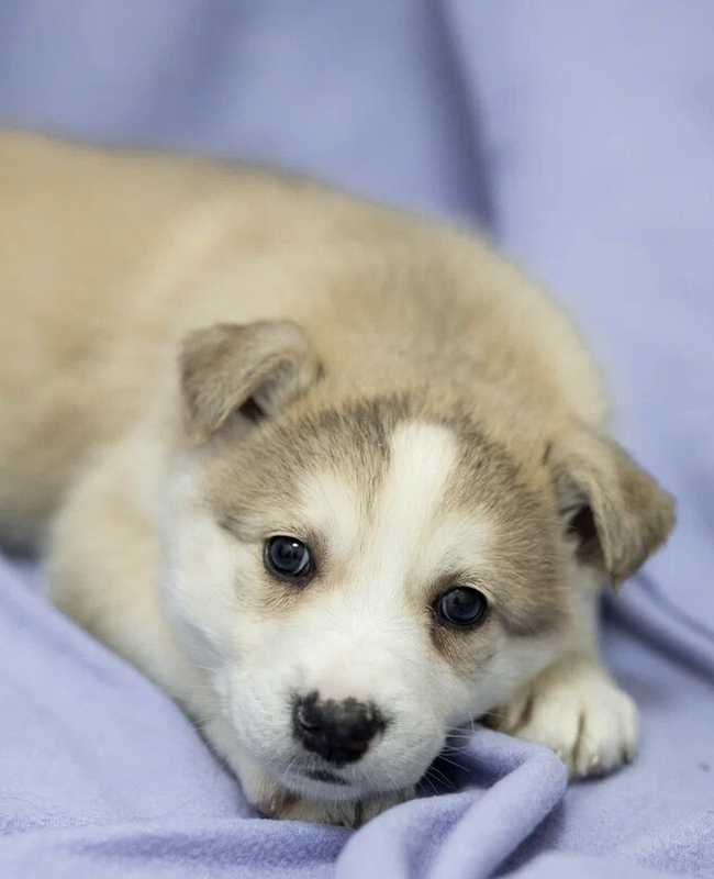 ����. ���������� ����� 2 ������. ���� � �������� ���� �����... ������, ������� �����, ������, �����, ������, ���������� �������, �����, �������� ��������, �����, ����� ��� ��������, ����������, � ������ ����, ��� ��������