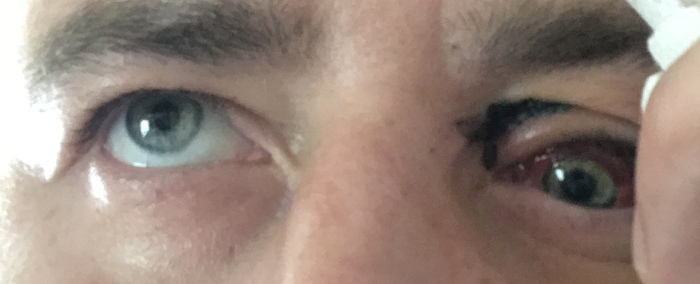 ������ ����������