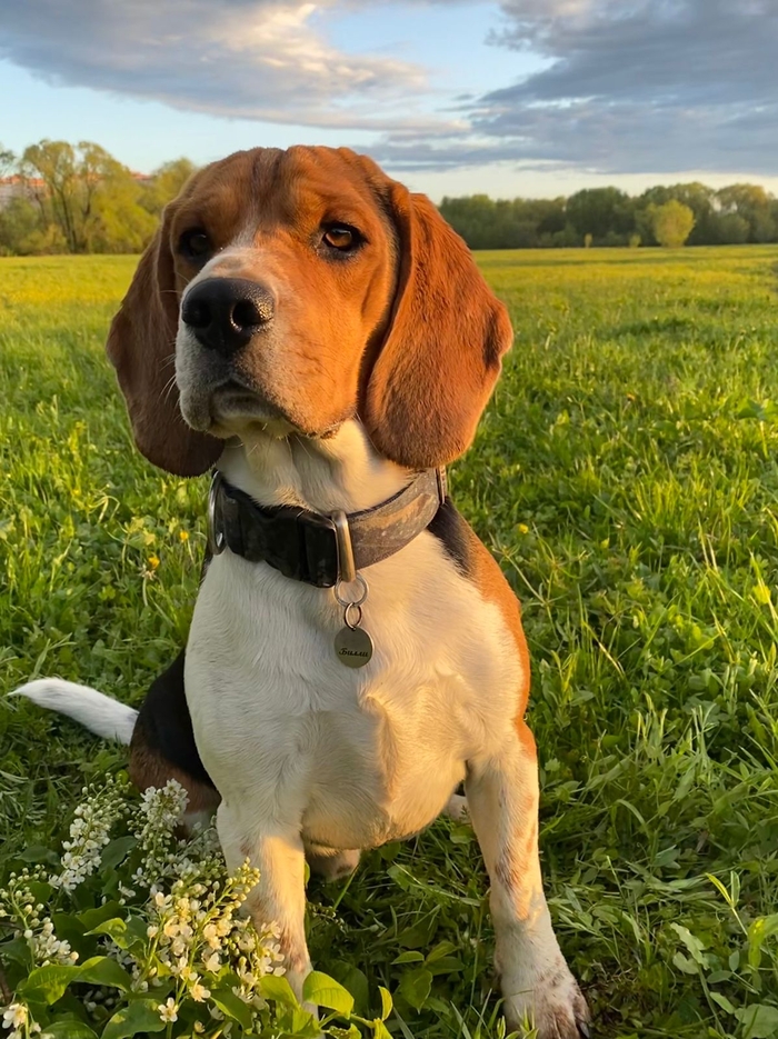 Вечерняя фотография