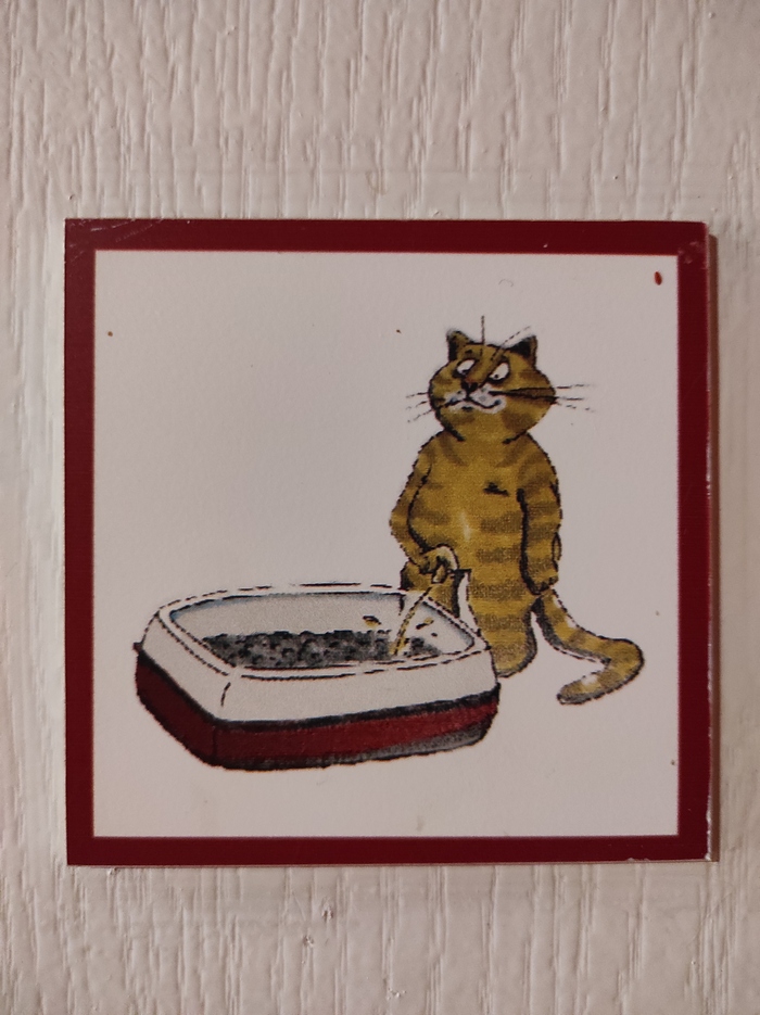 Держите кота