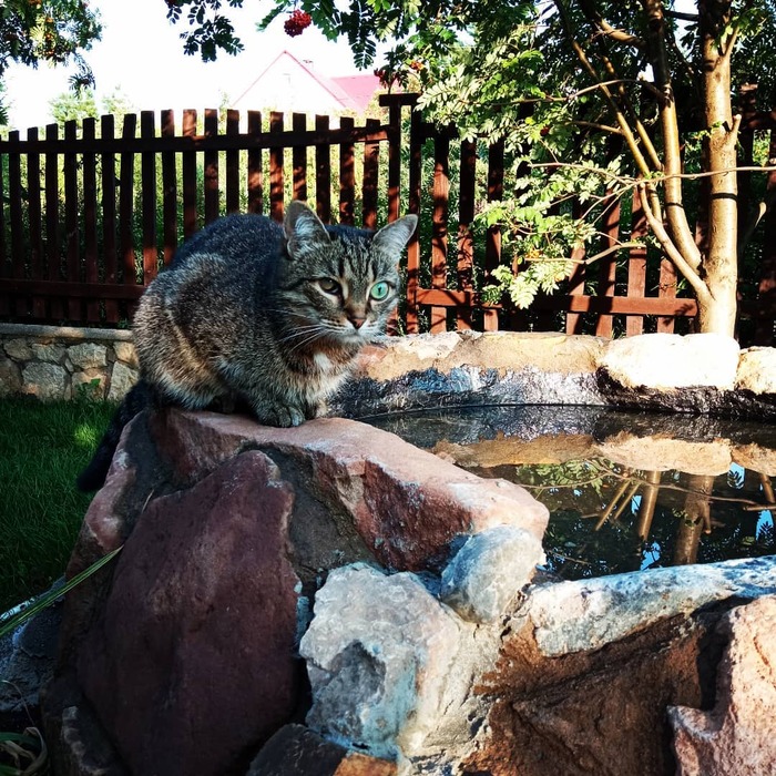 Декоративный водопад во дворе