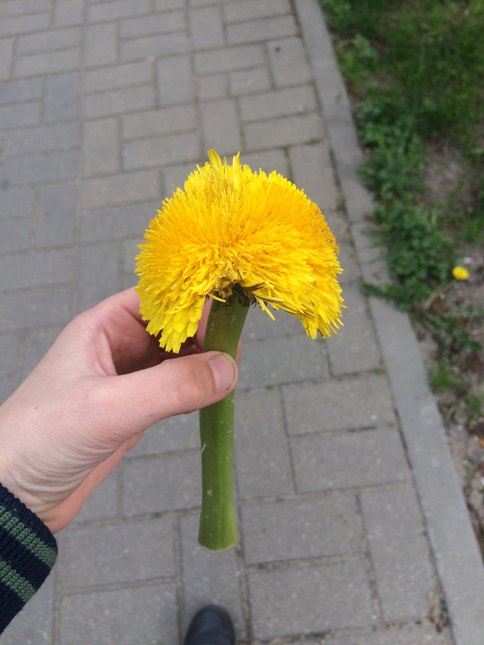 ��� ���������� ��� ����������,