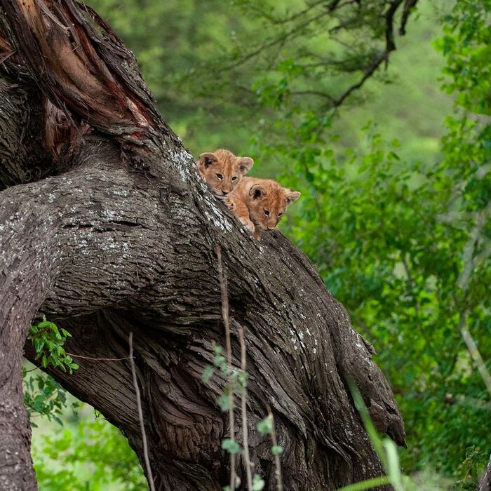 Когда же мама вернётся и снимет?