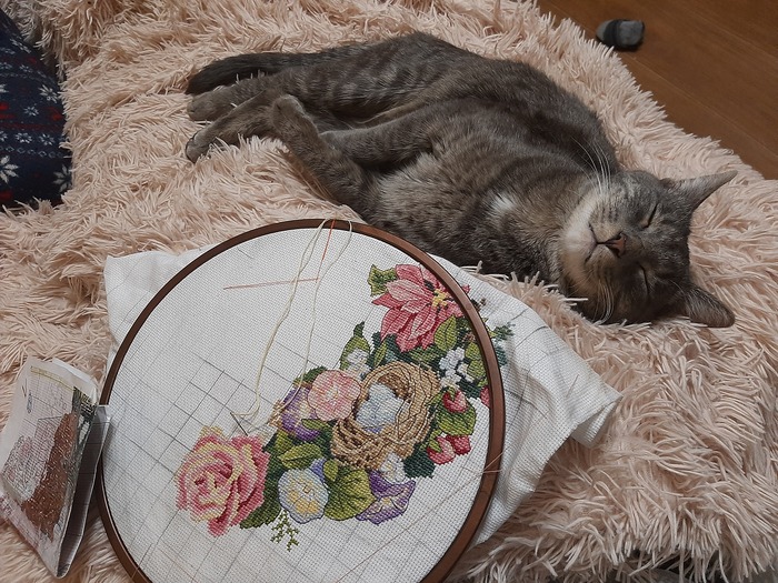 Мой идеальный вечер...