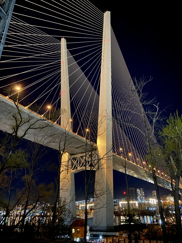 Ночной Золотой мост