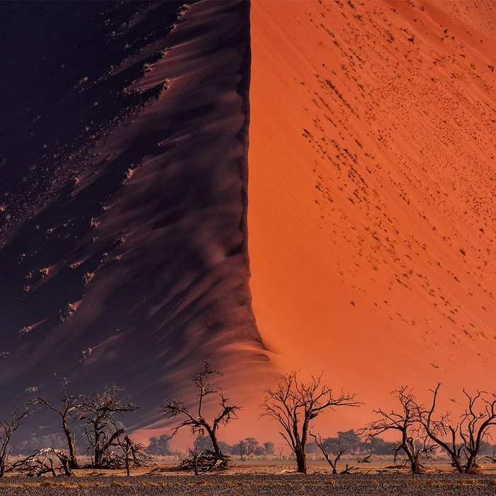 Песчаная дюна. Национальный парк Намиб-Науклуфт. Намибия