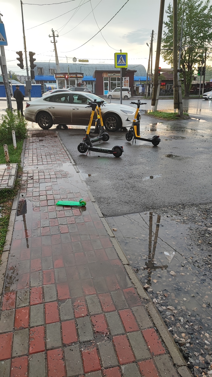 Личинка самоката