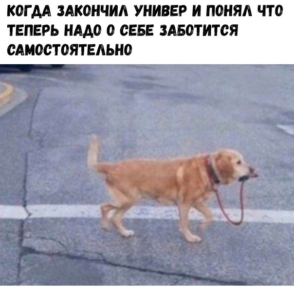 � - ����������)