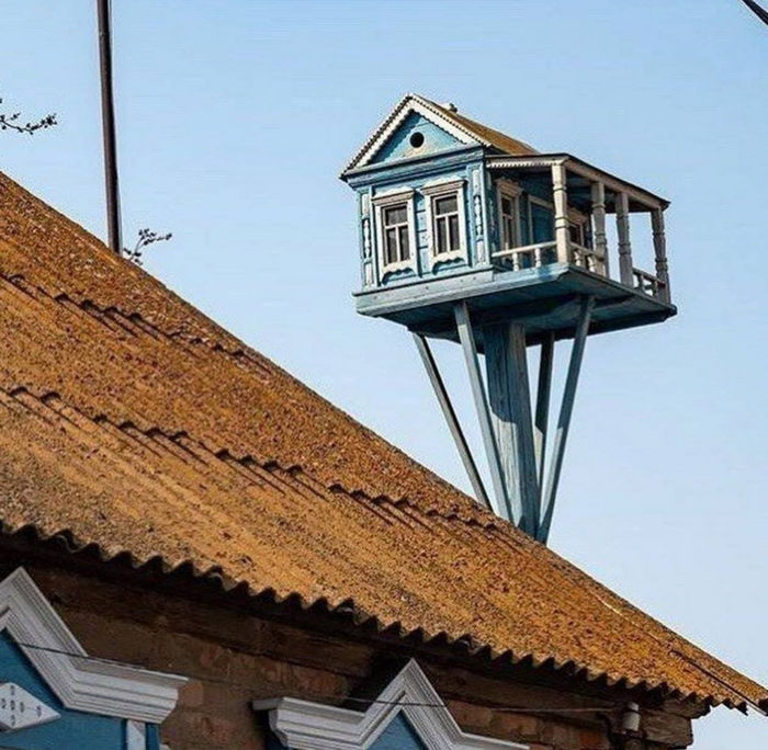 ����-����������