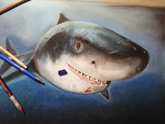 ���� ���������� �������, �������