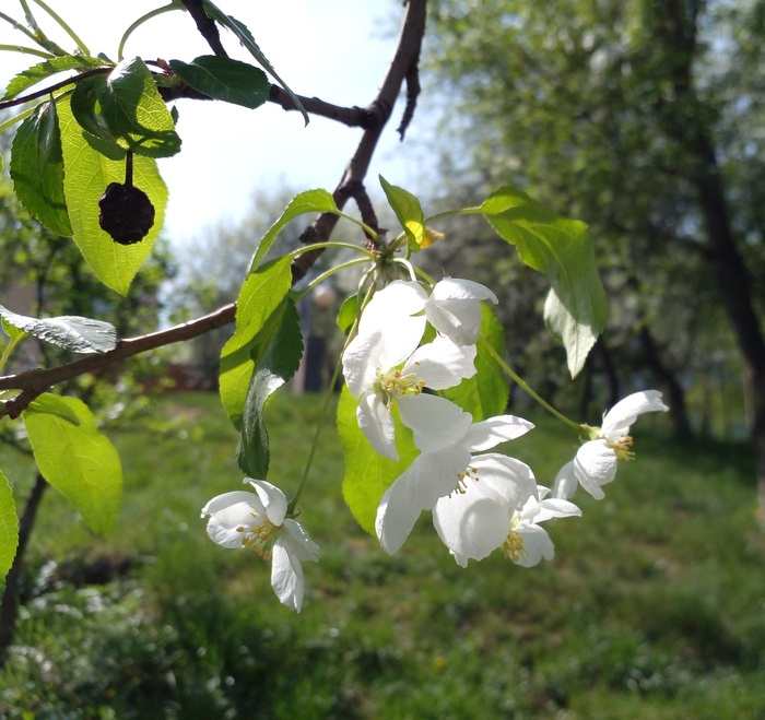 Хорошая погода