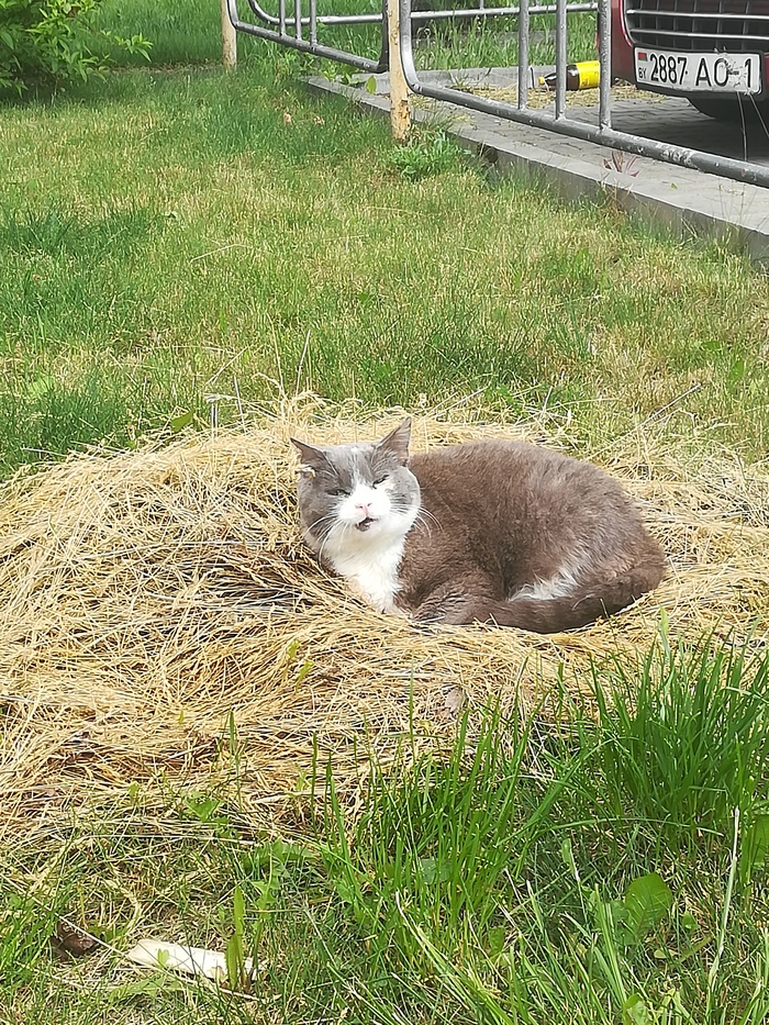 "�� ������ �, ������, �� ������ ��� ��������"