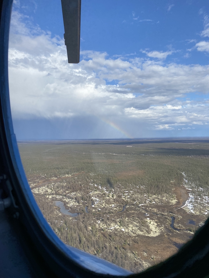 ������ ��� ����������