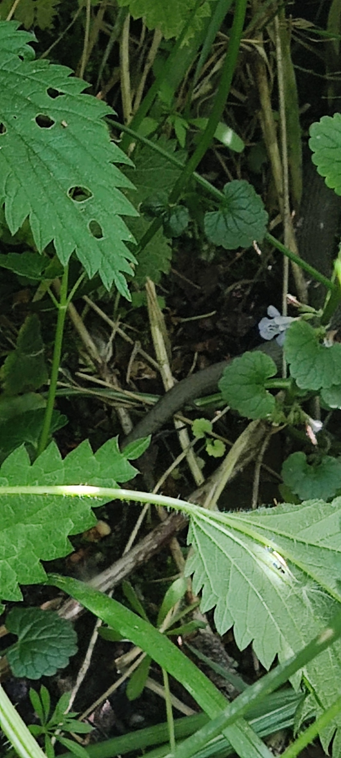 ���� � � �������