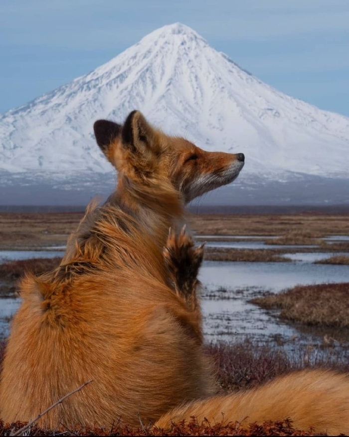 Вулканическое наслаждение