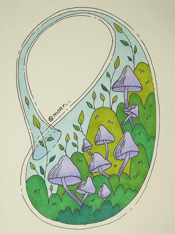 ����� ��������� 5