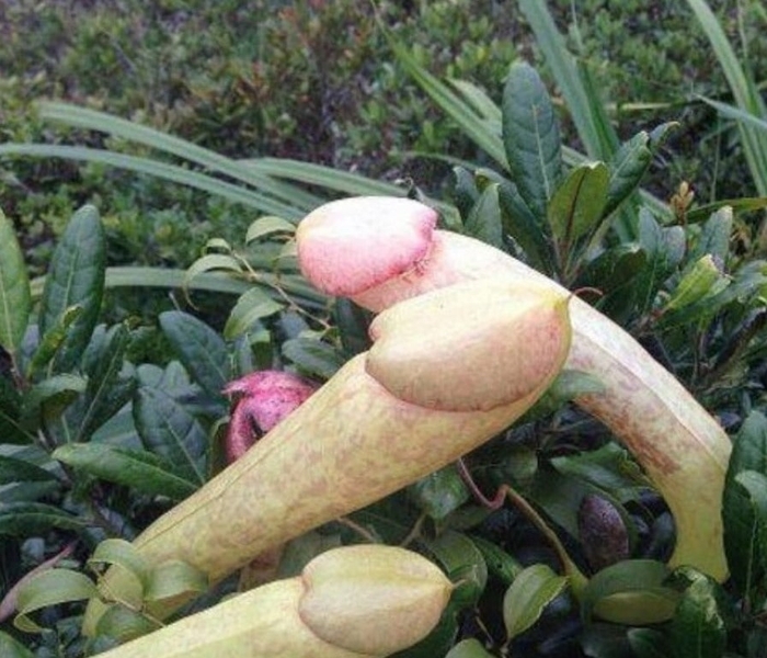      , , , 