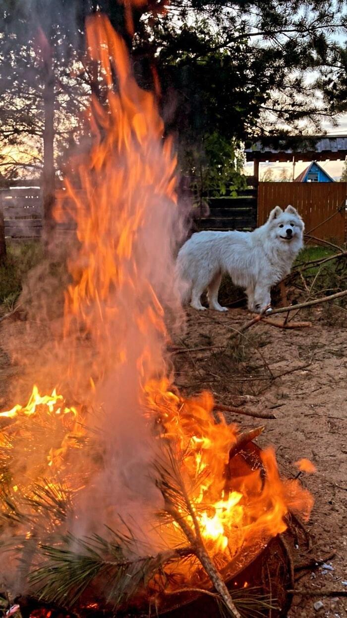 Маленький огонь легко затоптать