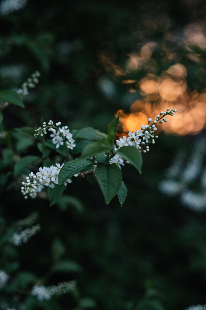 Весна в Иркутске