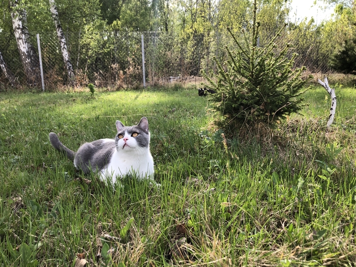 ���� ������