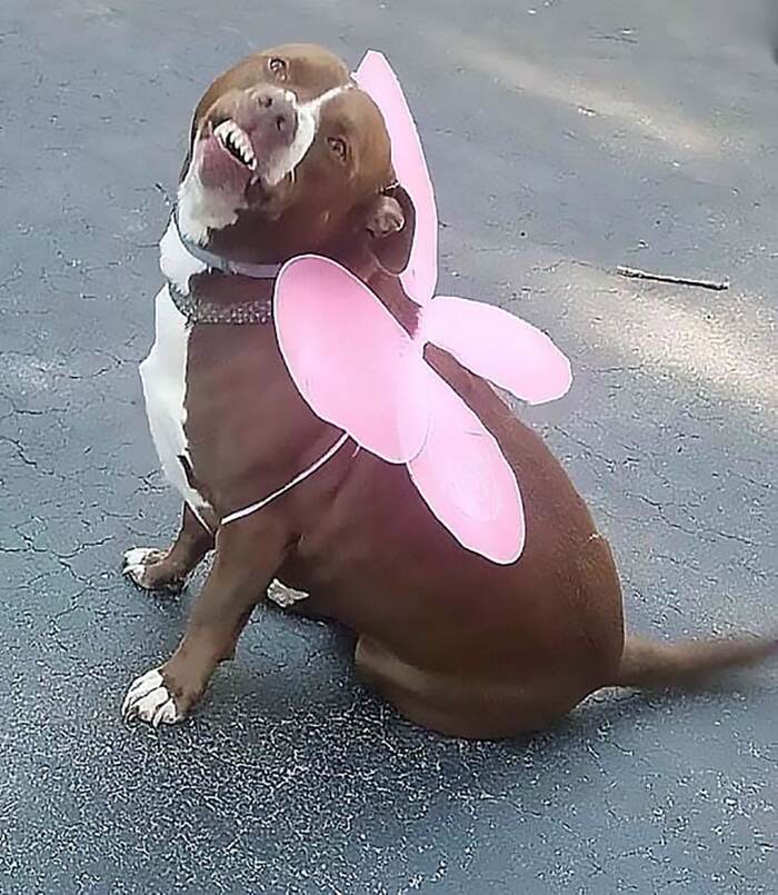 ����: �������, ����� � ������, �������� ����� �� ����... �: