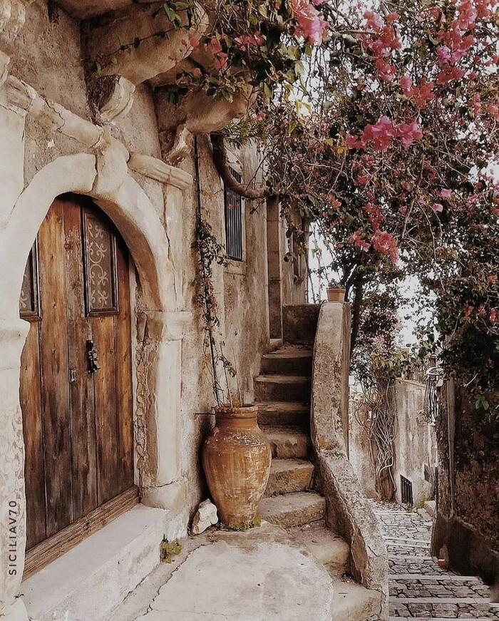 ������, �������