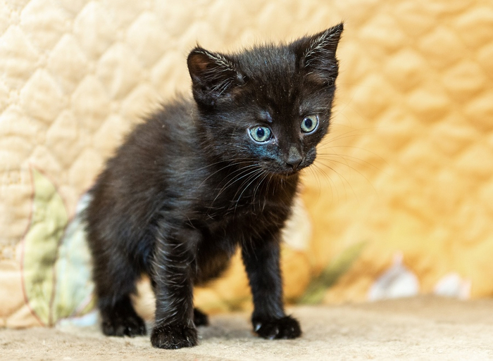 ������ � ������ ����