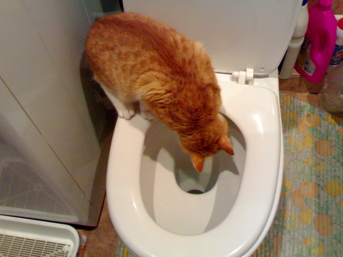 ����� � ������� ����� ��� �����������