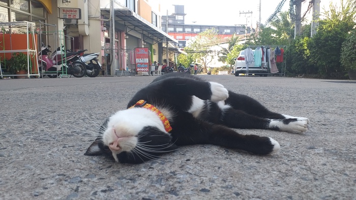 ����� �� ���� ����� ��������