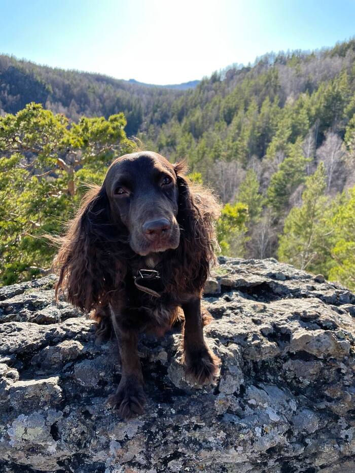 ���� � ����� ��������