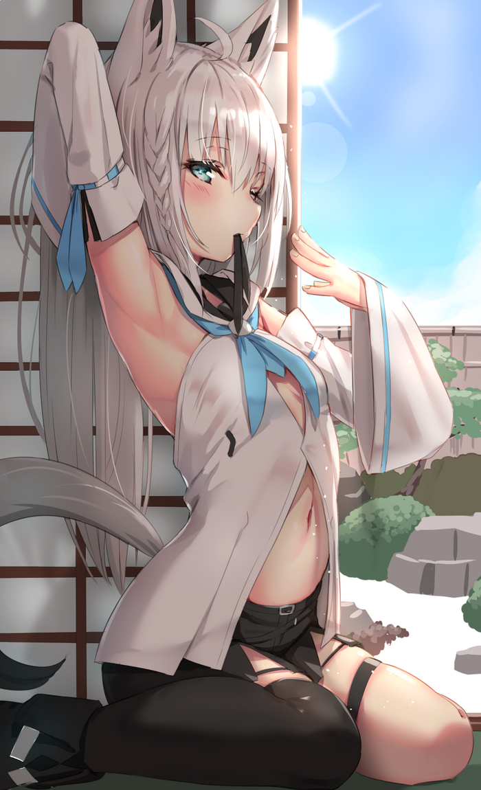 Shirakami Fubuki (art) Virtual YouTuber, Shirakami Fubuki, Hololive, Pixiv
