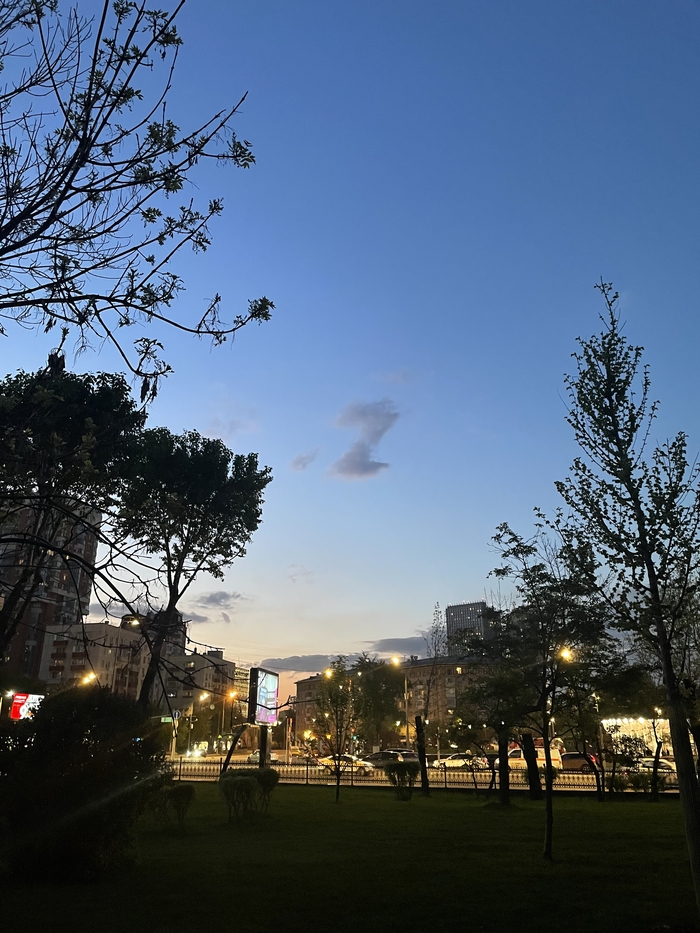 ���� � ������