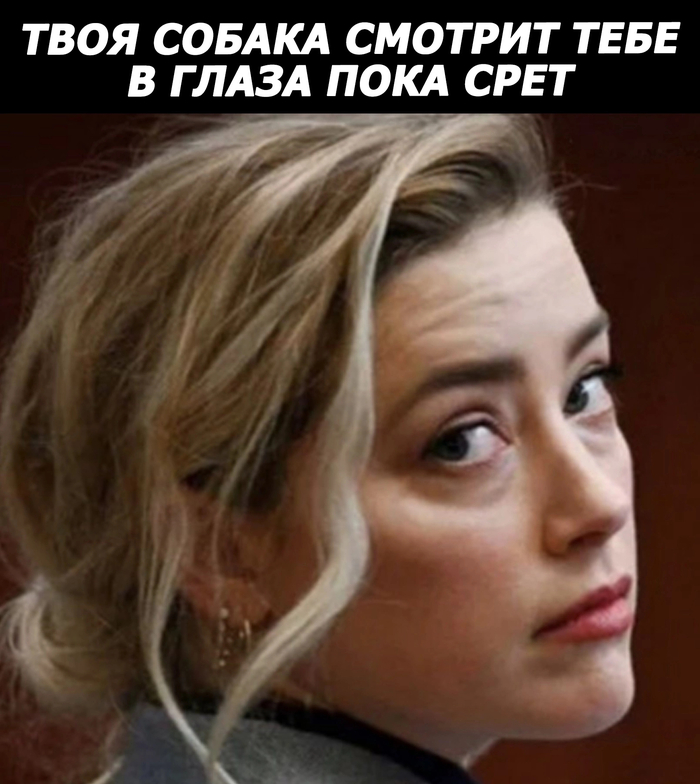    ո,  , , ,   