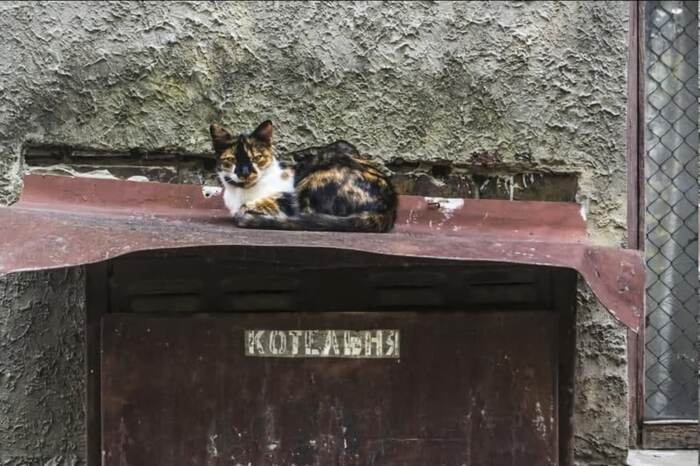 ��������