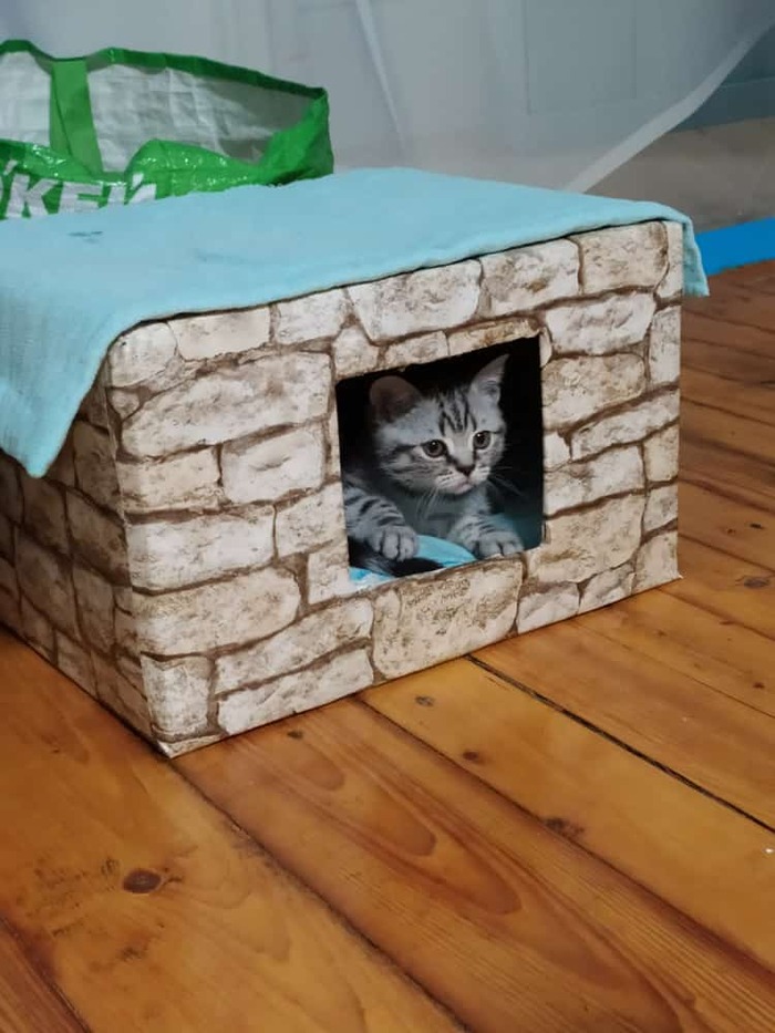 ���������� � ���� ���������