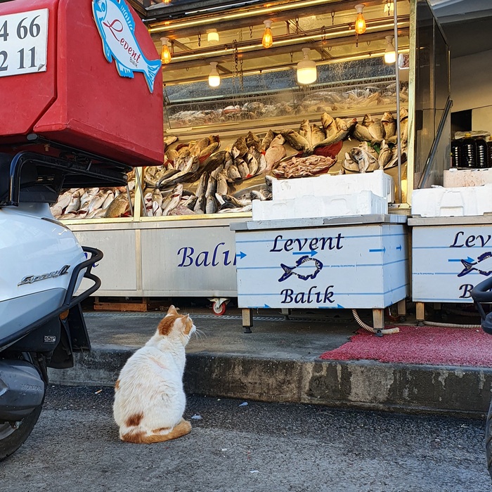 �����������?