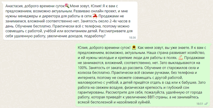 За.ИП.али эти онлайн-бизнесмены Бизнесмены, Удаленная работа, Бесит, Спам, Спамеры, Мессенджер, Социальные паразиты, Навязчивость, Назойливость, Замануха