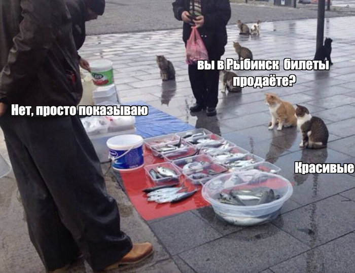 Показываю недорогой роскошный маршрут на выходные в красивый Рыбинск на ...