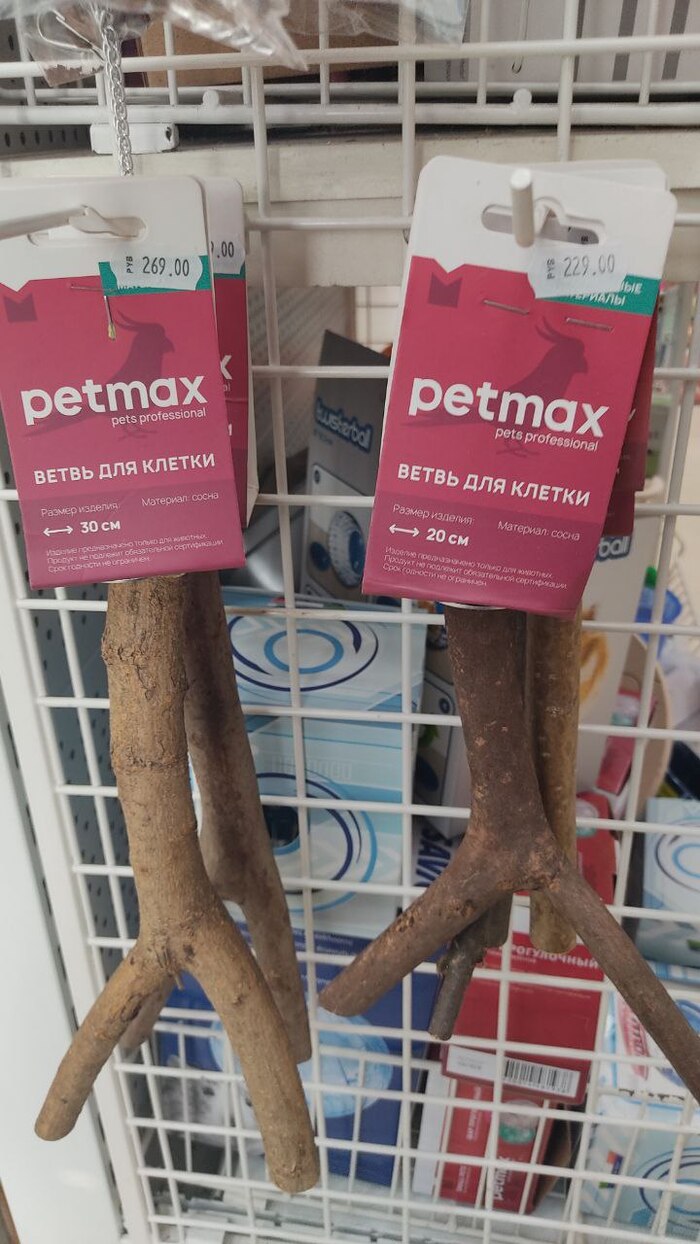 ������ ����