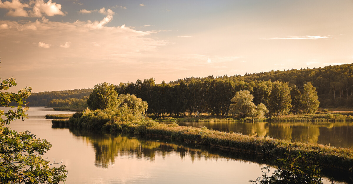 Утро в подмосковье фото