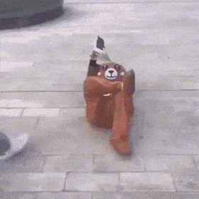   , , , 