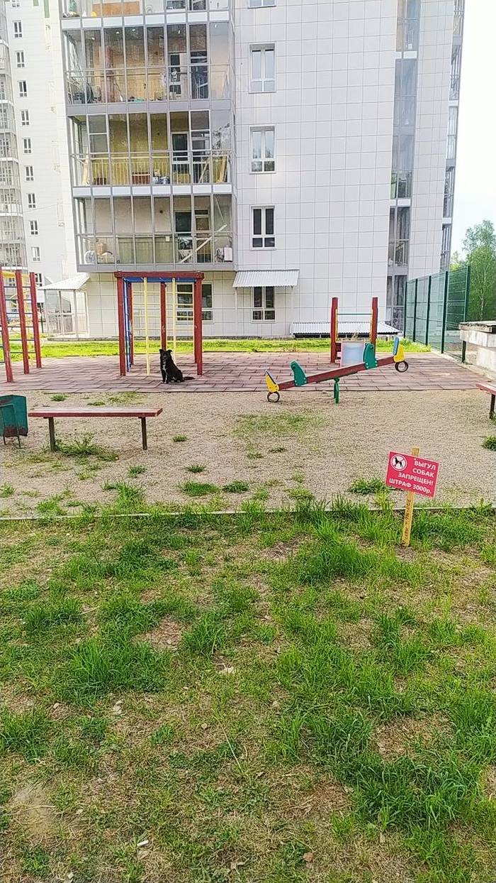  , ,  , 