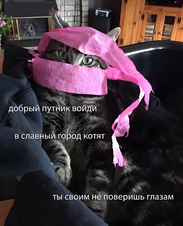  , , ,  (), 
