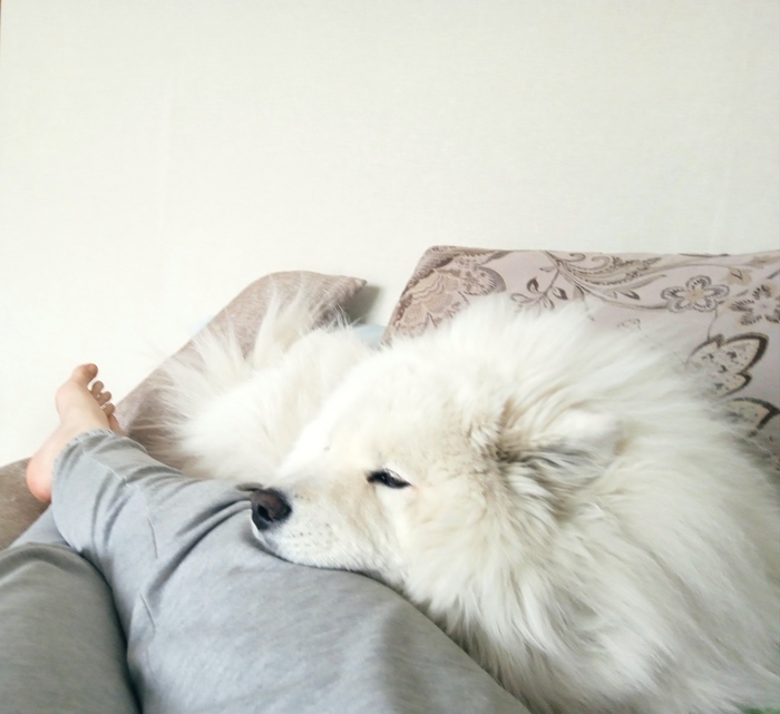 ������, take it easy