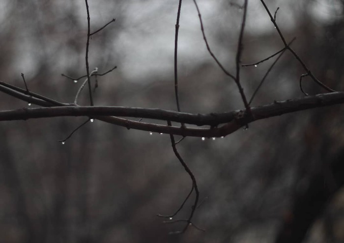    -60 (F-92) , , Canon, , 