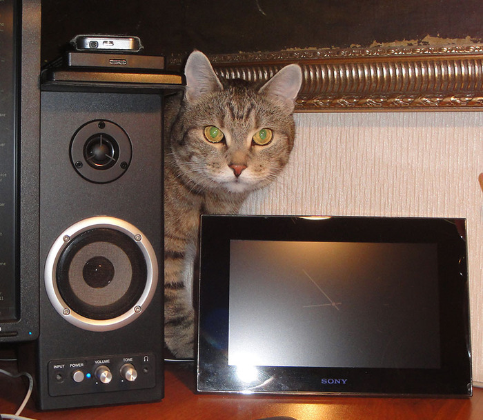 "�� ���, �� ������? ������� ����!"