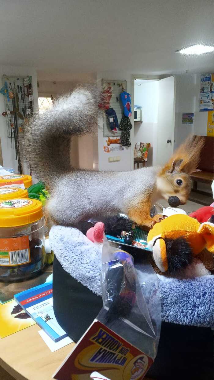 � ��� � ��� ����� ������������ ����